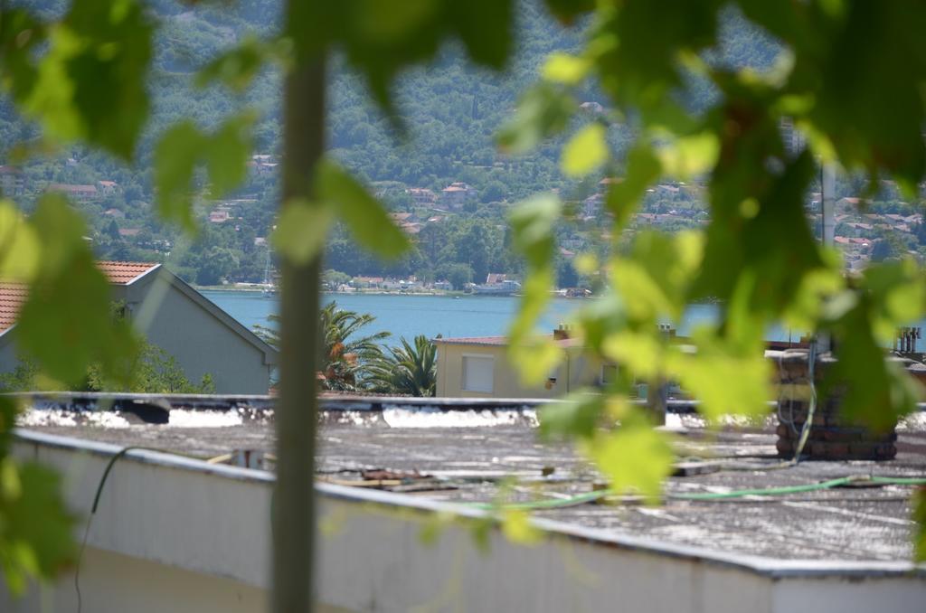 Apartments Dakovic Kotor Buitenkant foto