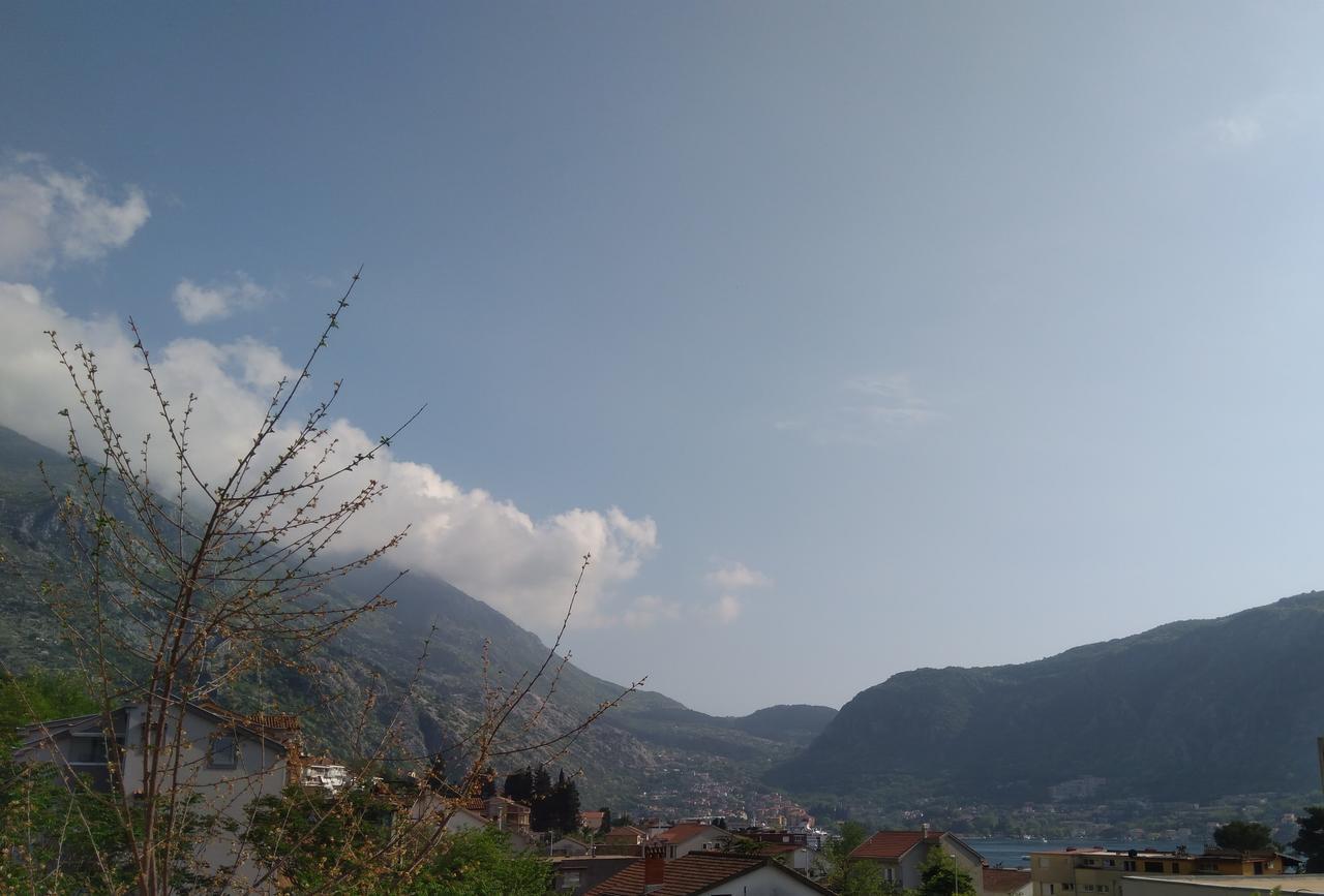 Apartments Dakovic Kotor Buitenkant foto